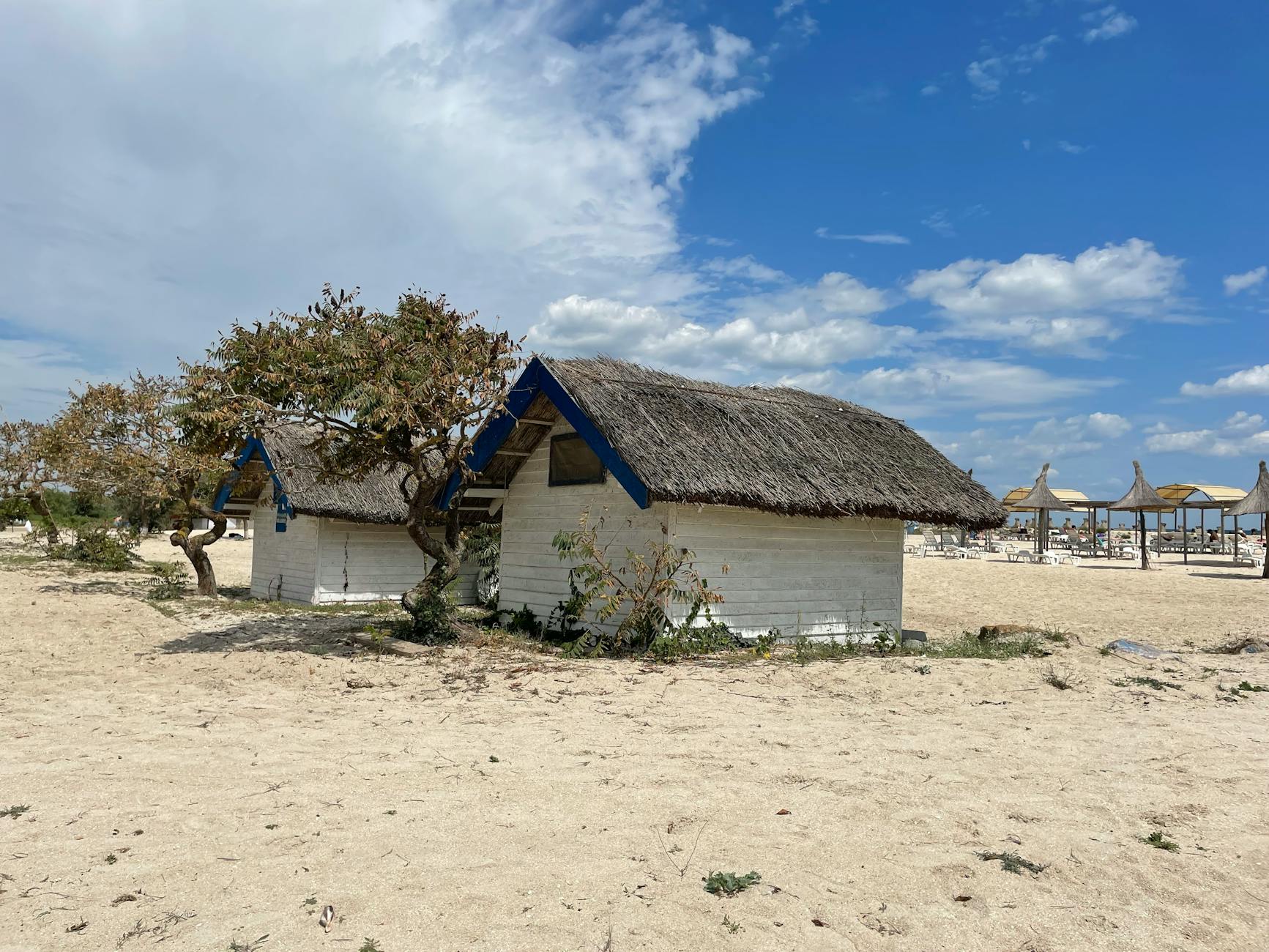 Tradycyjne kryte strzechą domki plażowe na piaszczystej plaży w Rumunii