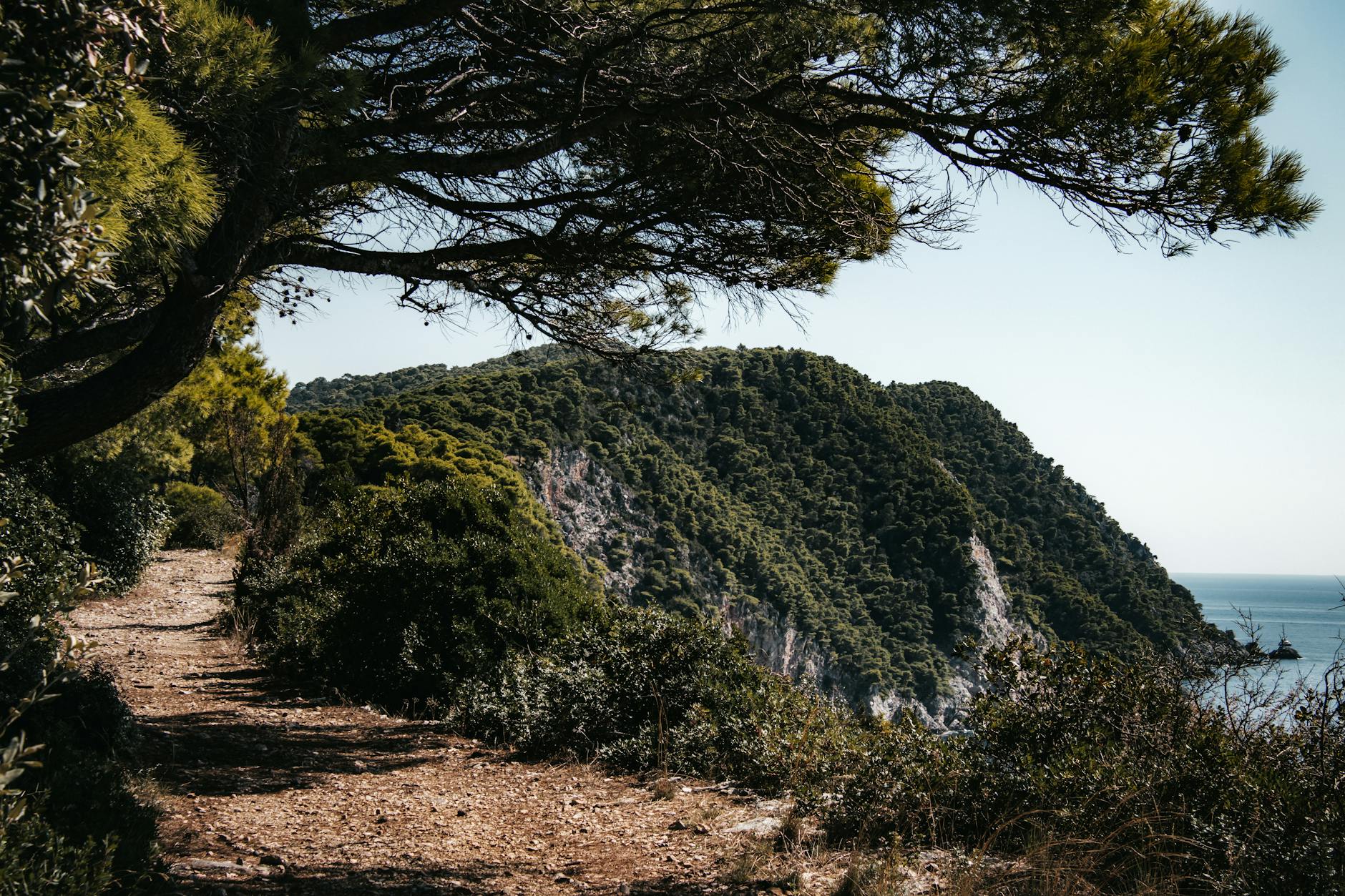 Szlak pieszy na wyspie Lopud z widokiem na Adriatyk w Chorwacji