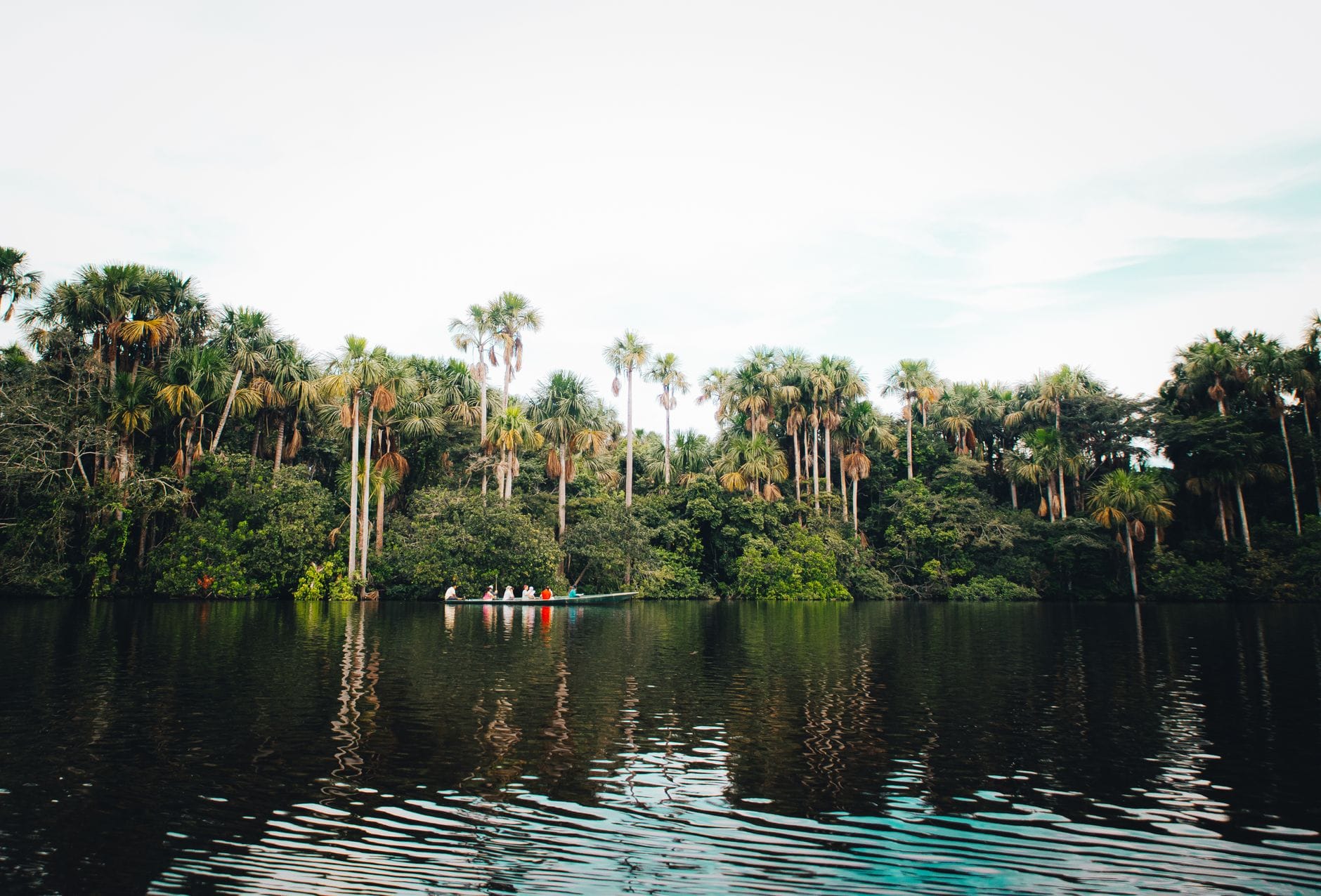 Amazonia dla początkujących: jak zaplanować rejs i noclegi w dżungli Łódź płynąca po rzece w amazońskiej dżungli otoczonej palmami